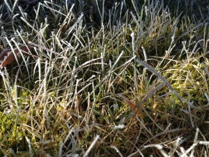 Taupo - Mt Egmont-009